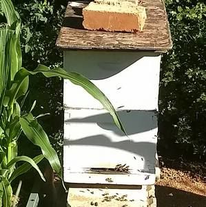 Meet your Posher, Paul